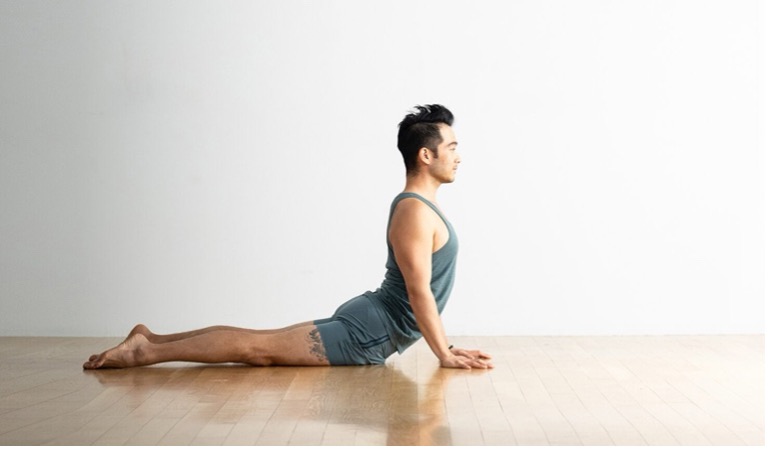 Cobra Stretch