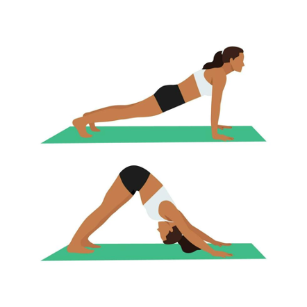 Plank verso Downward Dog transizione controllata